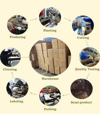 【塑料掃把 供應(yīng)掃帚頭 廠家直銷 價(jià)格優(yōu)惠 外貿(mào)原單】?jī)r(jià)格,廠家,圖片,掃帚畚箕套裝,張家港英瑞實(shí)業(yè)-