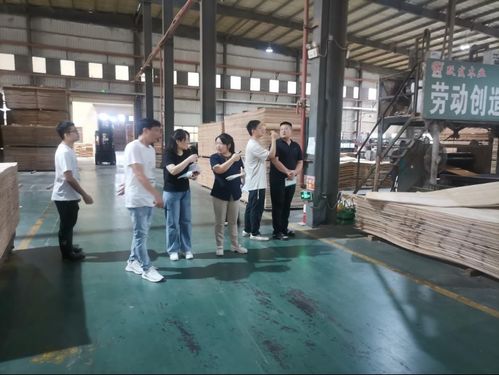 廣西扶綏發(fā)出首張人造板產(chǎn)品生產(chǎn)許可證