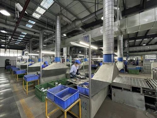 第二批家電生產(chǎn)企業(yè)回收目標(biāo)責(zé)任制行動(dòng)大幕拉開